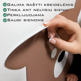 Premium Magnetinė Lenta Vaikams LOKYS